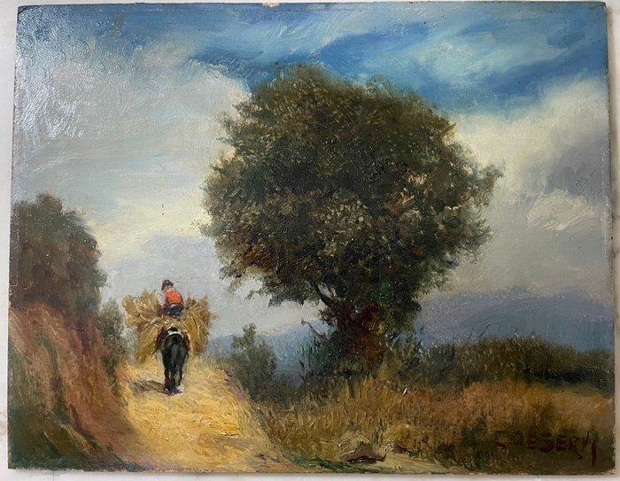 C. De Servi (XX) - Paesaggio di campagna con contadino su, Antiek en Kunst, Kunst | Schilderijen | Klassiek