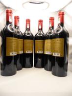2019 Alter Ego Château Palmer - Margaux - 6 Flessen (0.75, Nieuw