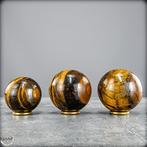 Tigerauge Kugel-Set – harmonische kracht en elegantie