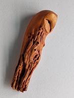 Federico Alibrio - Orange Wood Barn Owl