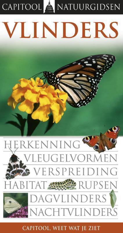 Vlinders / Capitool Natuurgidsen 9789047506324 Paul Sterry, Boeken, Hobby en Vrije tijd, Zo goed als nieuw, Verzenden