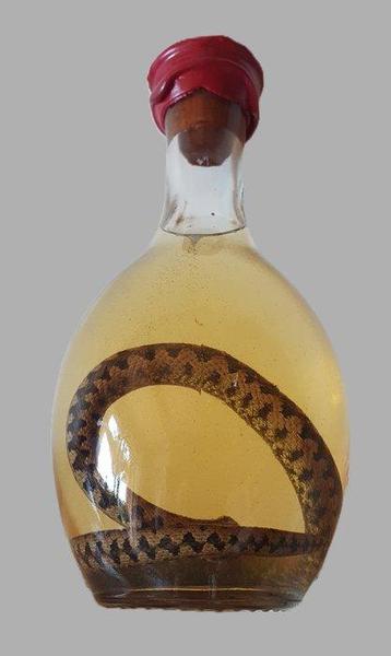 Trophée de chasse