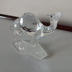 Figuur - Swarovski - Camel - 247683 - Kristal, Antiek en Kunst