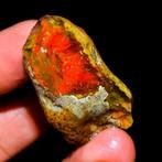 Opaal Bruto multicolore vuursteen - Zeer zeldzaam! 61,5 Ct-