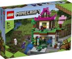 LEGO Minecraft De Trainingsplaats (21183)