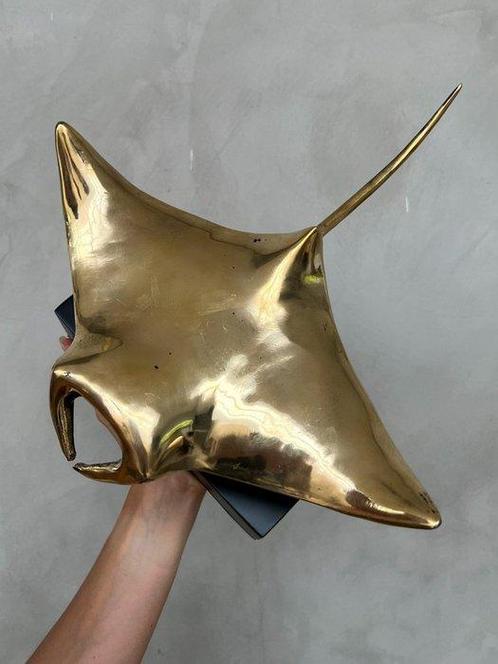 sculptuur, NO RESERVE PRICE - Sculpture of Polished Manta, Antiek en Kunst, Kunst | Designobjecten