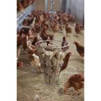 Balançoire à poules - kerbl, Dieren en Toebehoren