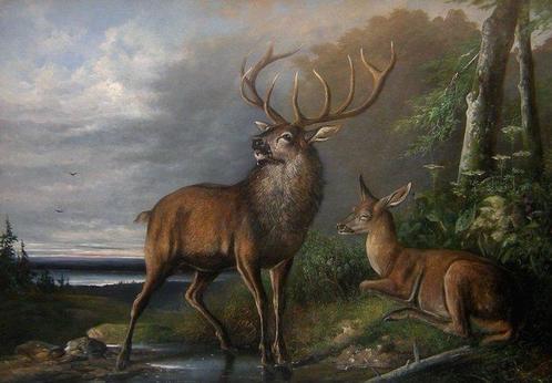 August Schleich (1814-1865) - Deers by forest stream - XL, Antiek en Kunst, Kunst | Schilderijen | Klassiek