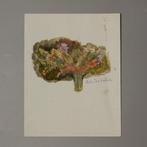 Lila de Nobili (1916-2002) - Flowers - NO RESERVE