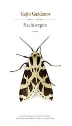 Nachtwegen 9789048819195 Gajto Gazdanov, Verzenden, Gelezen, Gajto Gazdanov