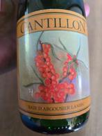 Cantillon - Baie dArgousier Lambic & Loerik - 37,5cl - 3, Verzamelen, Nieuw