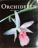 Orchideeen, Verzenden, Nieuw, Nederlands