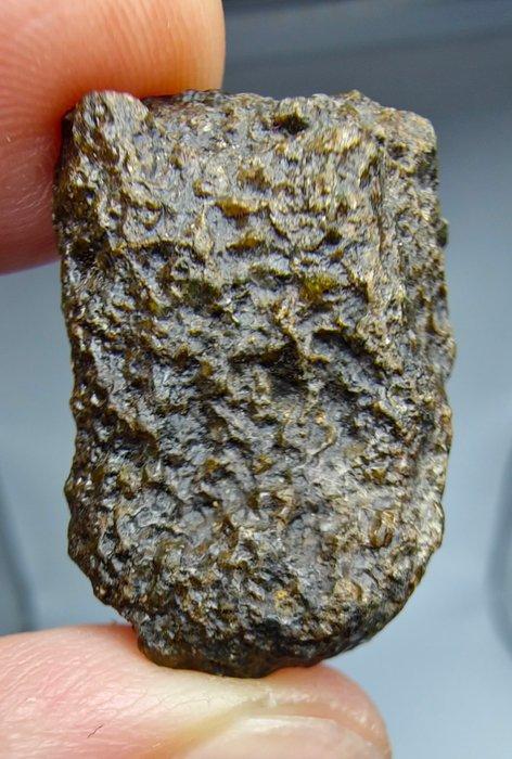 Ureilietmeteoriet, NWA 17031. Met de aanwezigheid van, Verzamelen, Mineralen en Fossielen