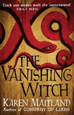 The Vanishing Witch 9781472215031 Maitland, Livres, Langue | Anglais, Envoi