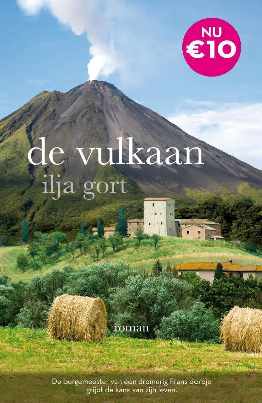 De vulkaan 9789082958782 Ilja Gort, Boeken, Romans, Gelezen, Verzenden