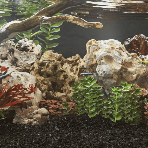 vidaXL Drakenstenen 10 kg 10-40 cm grijs, Dieren en Toebehoren, Vissen | Aquaria en Toebehoren, Nieuw, Verzenden