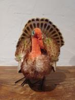 Steiff - Pluche speelgoed 10 pièces - 1950-1960 - Duitsland