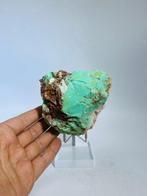 Mintgroene chrysoprase met moederrots – Tanzania Display, Verzamelen