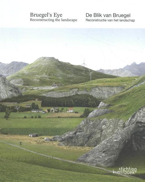 Bruegels Eye: Reconstructing the Landscape 9789058566232, Boeken, Kunst en Cultuur | Beeldend, Gelezen, Verzenden