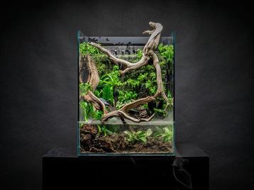 UNS Foresta Paludarium, Verzenden