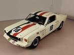 GMP/ACME 1:18 - Voiture de course miniature - Ford Shelby, Nieuw
