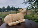 Statue, life size and a lifelike (Texel lamb) - 32 cm -