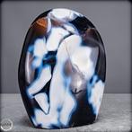 Natuurlijk Orca-Agaat Buitengewone verzamelaar-vrijvorm met