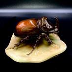 Royal Dux - Bohemia - Rhinoceros Beetle - ca 1965 - Figurine, Antiek en Kunst, Antiek | Glaswerk en Kristal