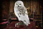 Harry Potter Statue Hedwig 24 cm, Nieuw, Ophalen of Verzenden