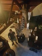 Girafe Support de corps entier pour taxidermie - Girafe -, Collections, Collections Animaux
