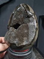 Beau gros œuf Septaria - Septarie - œuf de dragon - Hauteur, Collections