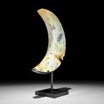 PAS DE PRIX DE RÉSERVE - Un bel onyx En forme de croissant, Antiek en Kunst