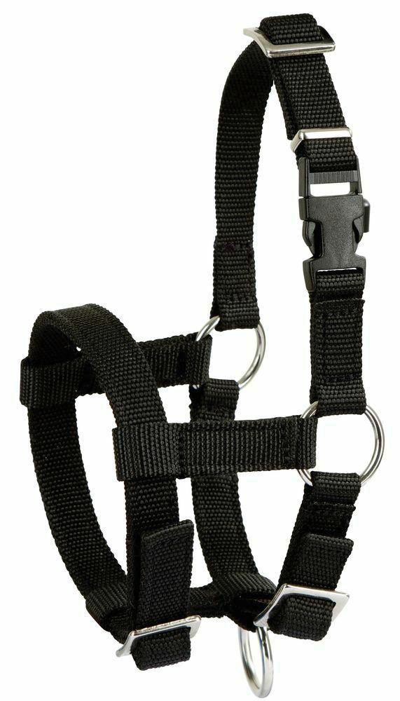 Alpaca halster- verstelbaar zwart, Dieren en Toebehoren, Overige Dieren-accessoires, Nieuw