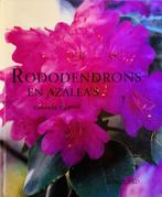 Rododendrons En AzaleaS 9789060975626, Boeken, Natuur, Kenneth Cox, Zo goed als nieuw, Verzenden