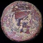 Hispania, Carmo. Anonymous. As minted in (actual Carmona,