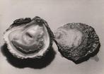 Noël Le Boyer (1883-1967) - Oysters, c.1950, Antiek en Kunst, Kunst | Schilderijen | Modern