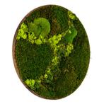 Mosschilderij Rond 80 cm Donker Eiken - Svendborg Lentegroen, Verzenden, Nieuw