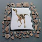 Dinosaurus - Gefossiliseerd ei - Oviraptor sp. - 26 mm - 21