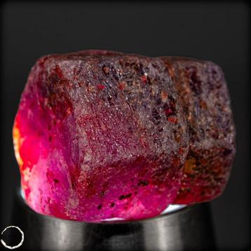 Cristal saphir naturel de couleur Padparadscha Non traité /