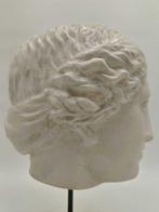 Sculpture, Testa di Venere - 34 cm - poussière de marbre