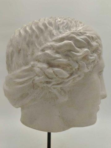 Sculpture, Testa di Venere - 34 cm - poussière de marbre