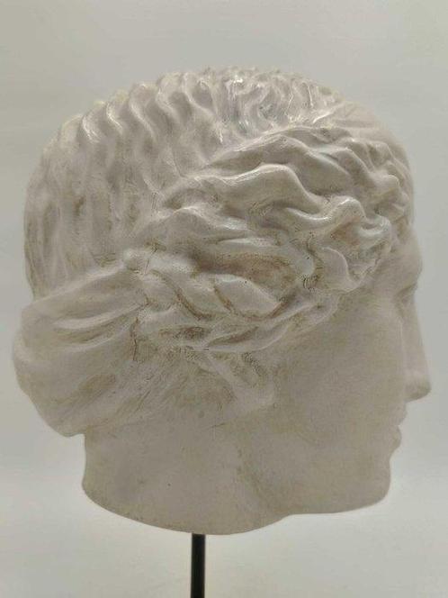 Sculpture, Testa di Venere - 34 cm - poussière de marbre, Antiek en Kunst, Curiosa en Brocante
