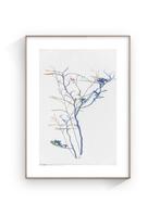 Susana Galbis - Fragility is not a shadow