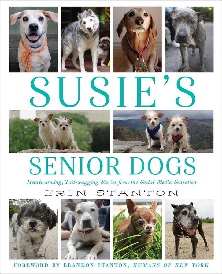 Susies Senior Dogs 9781501122477 Erin Stanton, Boeken, Taal | Engels, Zo goed als nieuw, Verzenden