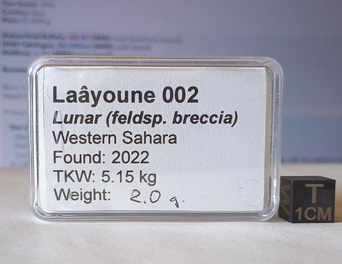 Laâyoune 002 - maanmeteoriet (feldspathische breccie) -, Collections, Minéraux & Fossiles