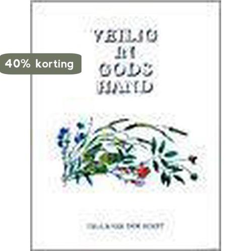 VEILIG IN GODS HAND 9789033813214 Truus van der Roest, Boeken, Godsdienst en Theologie, Gelezen, Verzenden