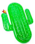 Opblaasbare Cactus