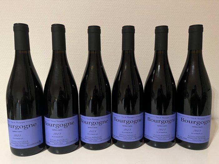 2023 Sylvain Pataille - Bourgogne - 6 Flessen (0.75 liter), Verzamelen, Wijnen