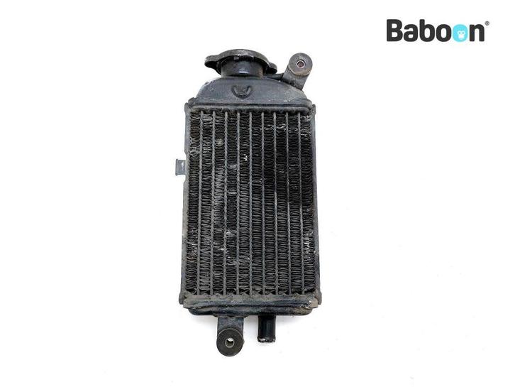 Radiateur Yamaha DT 125 1982-1984 LC (DT125LC 10V), Motoren, Onderdelen | Yamaha, Gebruikt, Verzenden