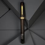 Waterman - Inview Deluxe - Stylo à plume